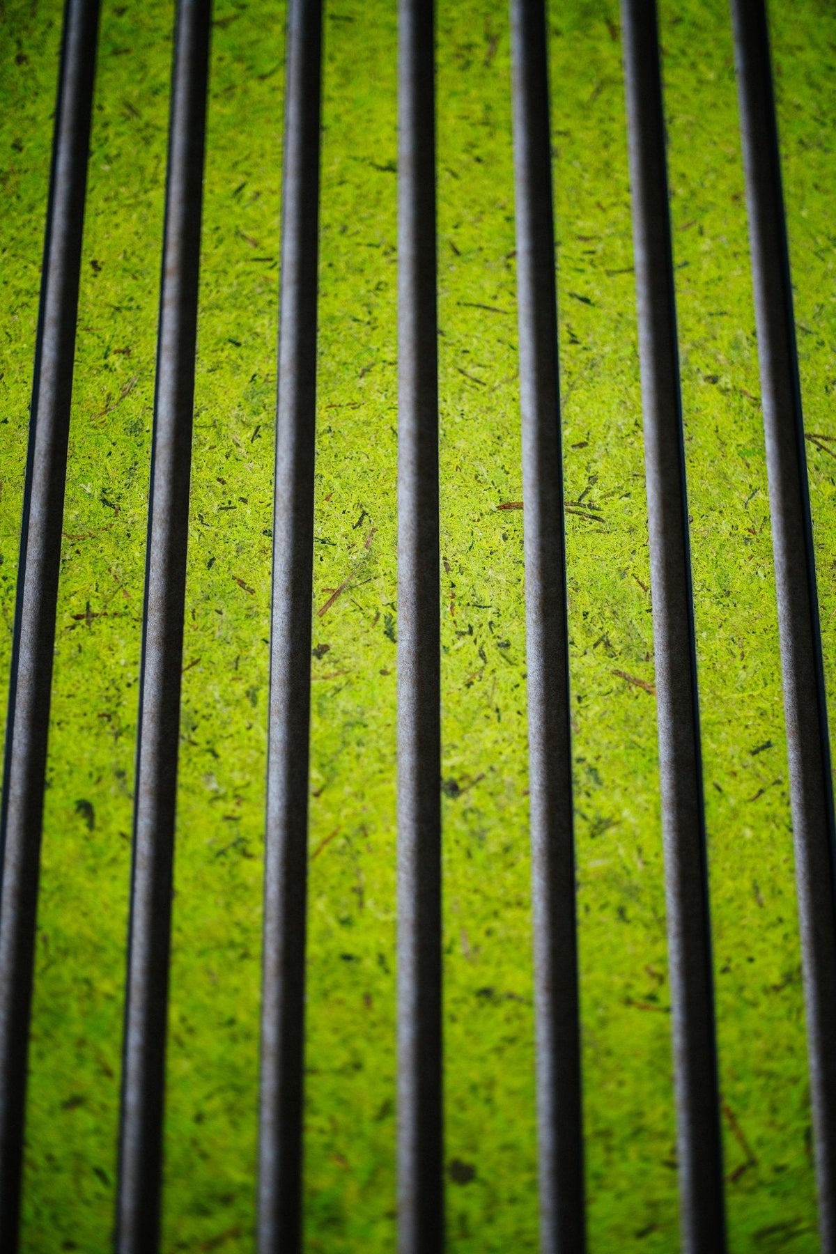 Moss Light Green