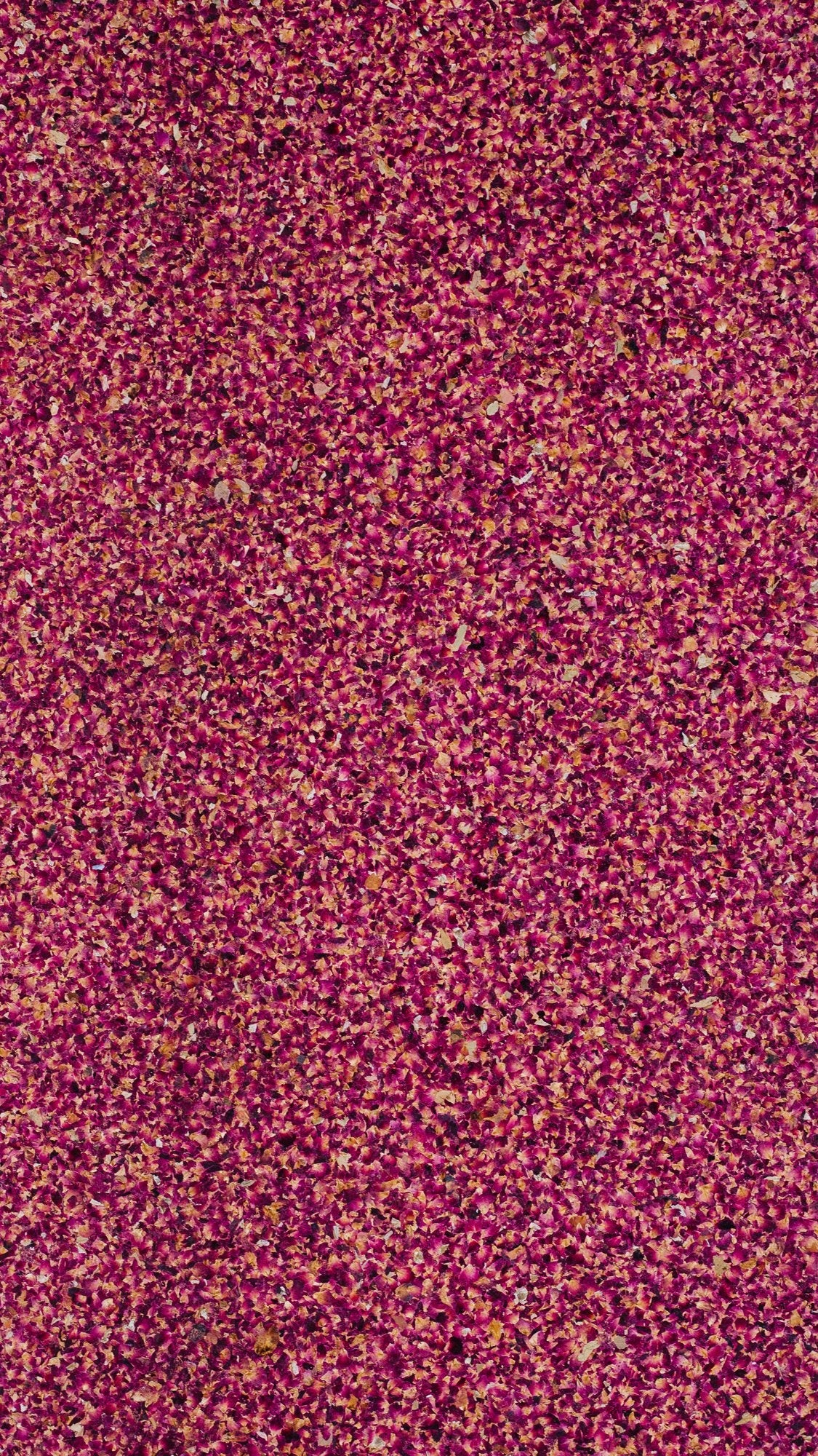 Rose Petals